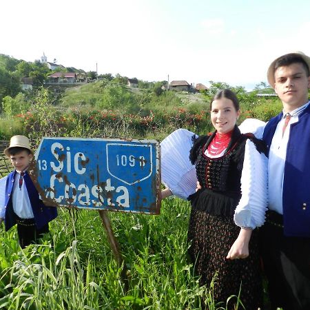 Csipkeszeg Bed & Breakfast Sic / Szek Romania מראה חיצוני תמונה
