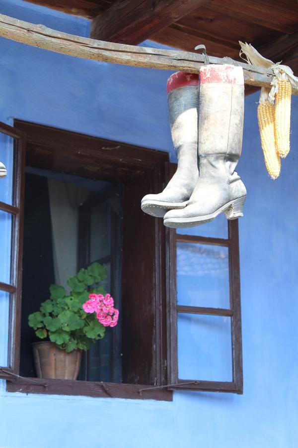 Csipkeszeg Bed & Breakfast Sic / Szek Romania מראה חיצוני תמונה